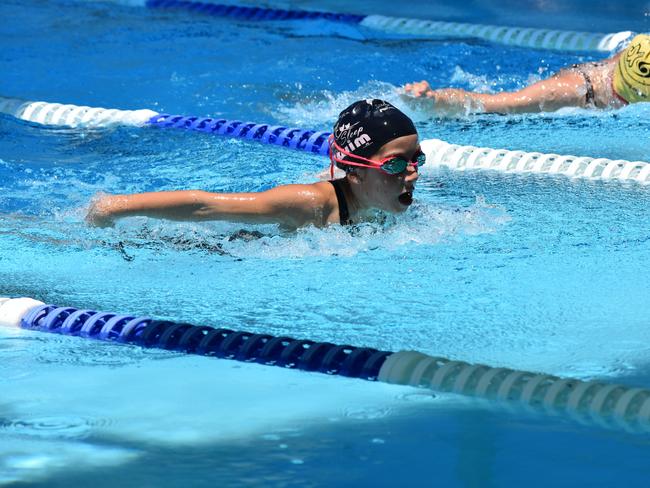 30+ PHOTOS: Southwest swimmers shine at regional carnival