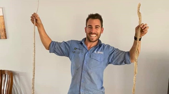 Elliot Mangan and his apprentice Braydon found a horrifying 15 snake skins in the roof of an unsuspecting Blackbutt home. Facebook/Elliot Mangan