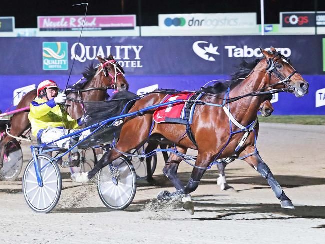 Cult horse Lennytheshark will still have plenty of admirers despite his draw in six. Picture: Stuart McCormick