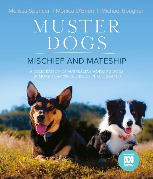 Muster Dogs: Mischief and Mateship.