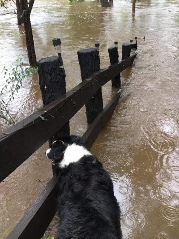 The Colo River rising. Picture: Elizabeth Ross