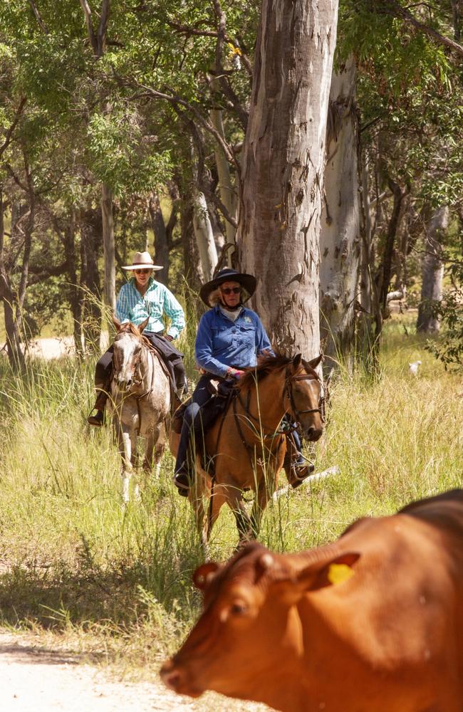 Scenes from the Eidsvold Cattle Drive 2024.