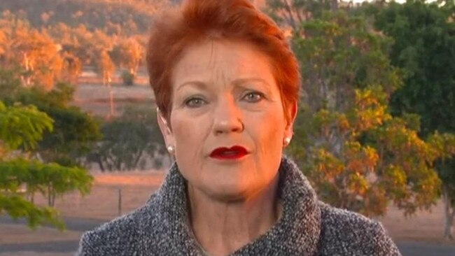 Pauline Hanson has come out swinging against the Uluru climbing ban. Picture: supplied