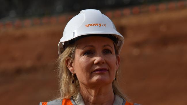 Environment Minister Sussan Ley says the government will immediately act on four recommendations made by Graeme Samuel. Picture: AAP