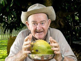 MONSTER MANGO: Bill Willis, 82, from Walkerston with a massive 1.5 kilogram mango that dropped from a mango tree in his backyard on Tuesday.
