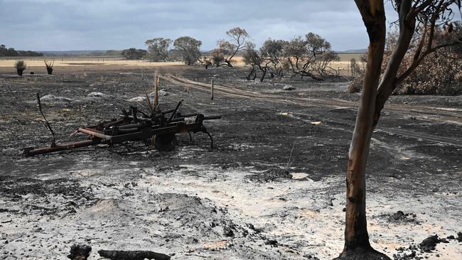 Kangaroo Island was ravaged by bushfires in early 2020. Picture: Peter Parks / AFP