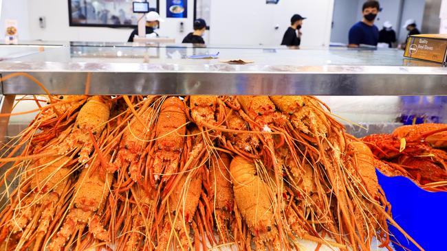 Lobsters on sale at the Sydney Fish Market.