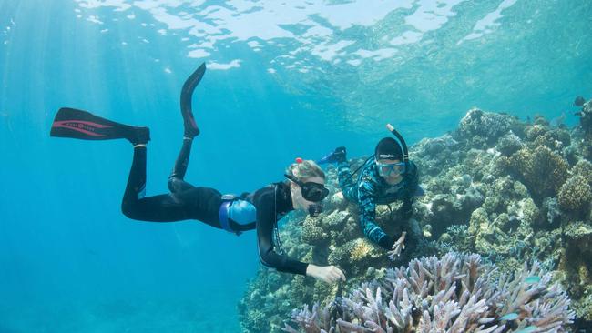 Prof Peter Harrison and researcher Katie Chartrand on Moore Reef. Picture: Andrew Watson