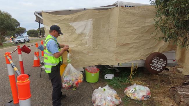 A biosecurity officer weighs confiscated fruit and vegetables at the border this week. Picture: Arj Ganesan