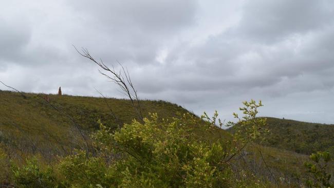 East coast heath country eco-tourism route: Australia's northernmost cattle property, the spectacular 131,900ha Bramwell Station, is on the market. Picture: supplied.