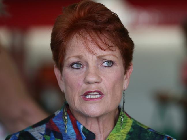 14/4/2019: Senator Pauline Hanson arrives carrying her luggage at the Brisbane Airport terminal, Brisbane. Hanson caught a flight to Adelaide to begin campaigning after an illness, for the One Nation federal election campaign. Lyndon Mechielsen/The Australian