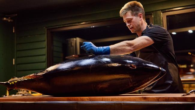 Jock Mure carves up an 80kg Southern bluefin tuna, at Mures Upper Deck, to prepare the fish for a special four-course degustation dinner. Picture: Samuel Shelley/Mures Tasmania