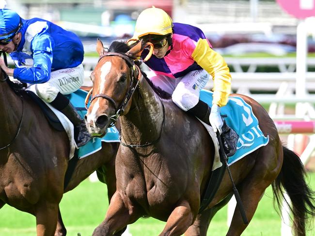 1) Dragonne Rouge, with Andrew Mallyon riding, wears down Ha'penny Hatch to win the $200,000 Listed Calaway Gal Stakes (1200m) at Eagle Farm on Saturday, April 26, 2025. Picture: Grant Peters / Trackside Photography 2) Jockey Andrew Mallyon on Dragonne Rouge after winning the $200,000 Listed Calaway Gal Stakes (1200m) at Eagle Farm on Saturday, April 26, 2025. Picture: Grant Peters / Trackside Photography