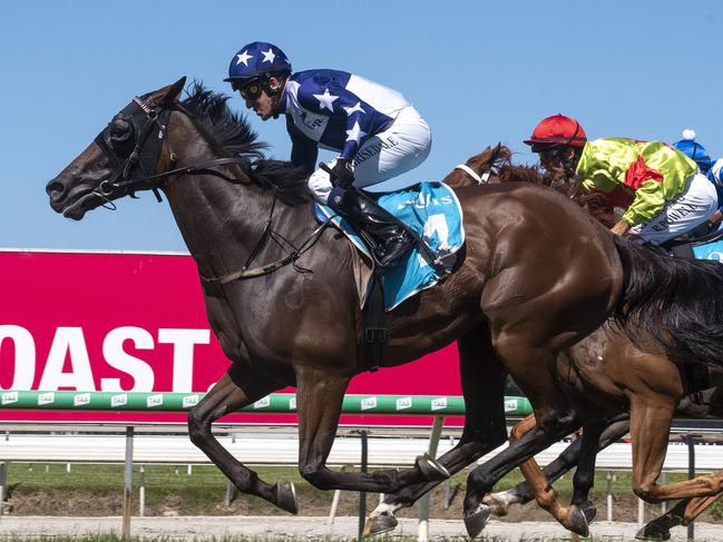 Jockey Jon Grisedale rode Tiomo to victory in the Class 1 Handicap (1800m) at the Gold Coast Turf Club on Saturday, March 21, 2020. Picture credit: Greg Irvine, Magic Millions.