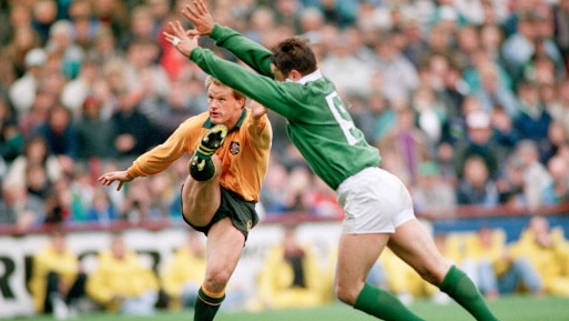 Michael Lynagh was the decisive factor in the win over Ireland in 1991.