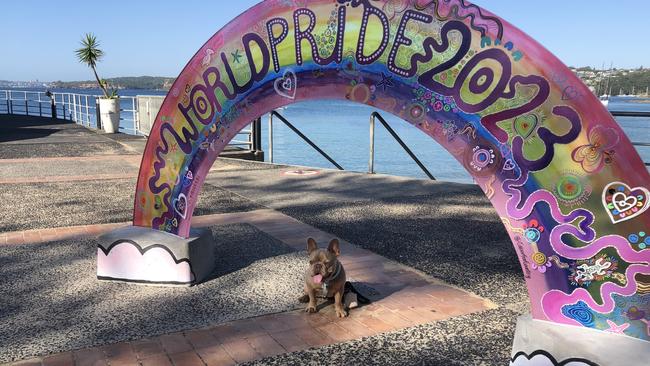 "Sonny" under the WorldPride 2023 'Rainbow Arch' next to Manly Wharf, created by artist Skye Burton. Picture: Jim O'Rourke