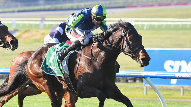 Roadie could produce a surprise when the talented mare lines up over 1200m at Sandown on Wednesday. Picture: Racing Photos via Getty Images