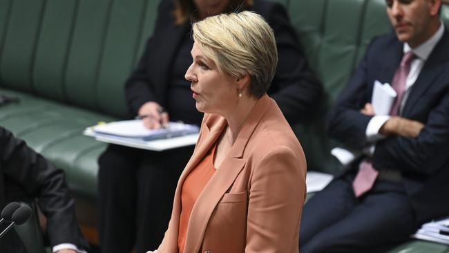 Environment Minister Tanya Plibersek. Picture: Martin Ollman / NCA NewsWire