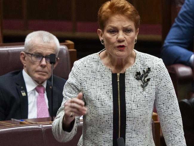 Pauline Hanson in the Senate during the debate. Picture: NCA NewsWire / Martin Ollman