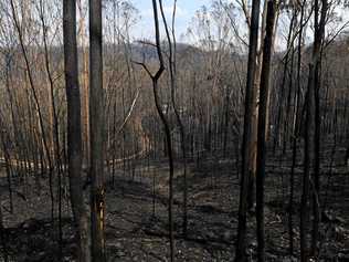 There was significant damage in Ewingar as a severe fire hit the hills. Picture: Marc Stapelberg