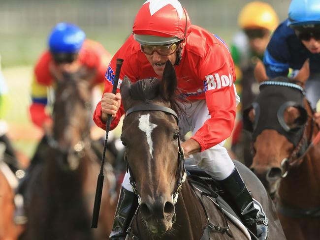 Damien Oliver and Seabrook combine to win the $500,000 Champagne Stakes. Picture: Getty Images