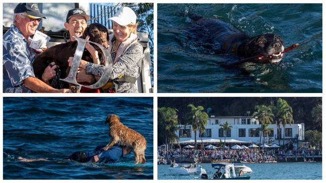 Scotland Island Dog Race 2024