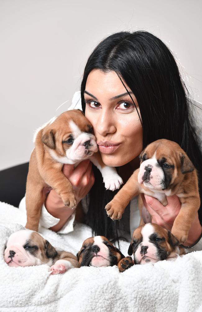 Vicky Grivakis with some of her British bulldog pups. Pic Mark Brake