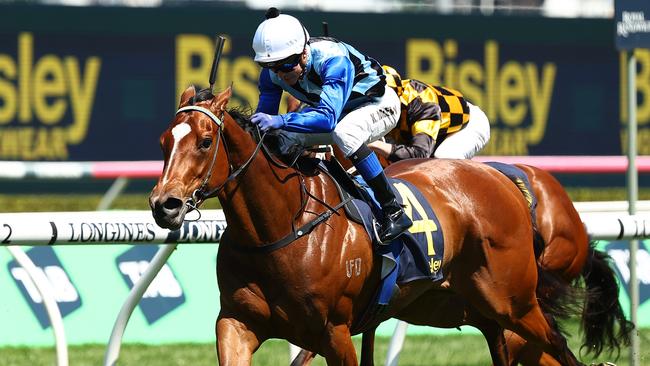 Gerald Ryan is hoping for atrack upgrade at Rosehill for Arctic Glamour. Picture: Jeremy Ng/Getty Images