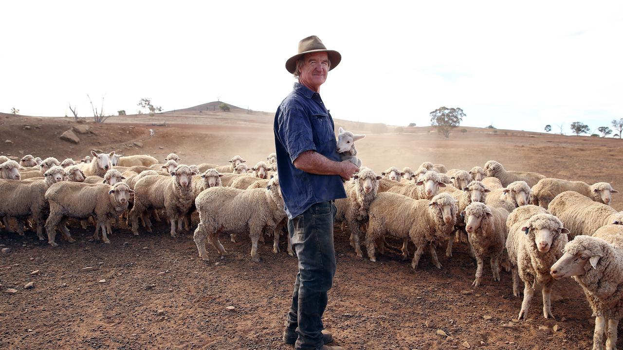 Farmer Les Jones on his property at Goolhi with the remaining sheep in the flock. Picture: Sam Ruttyn