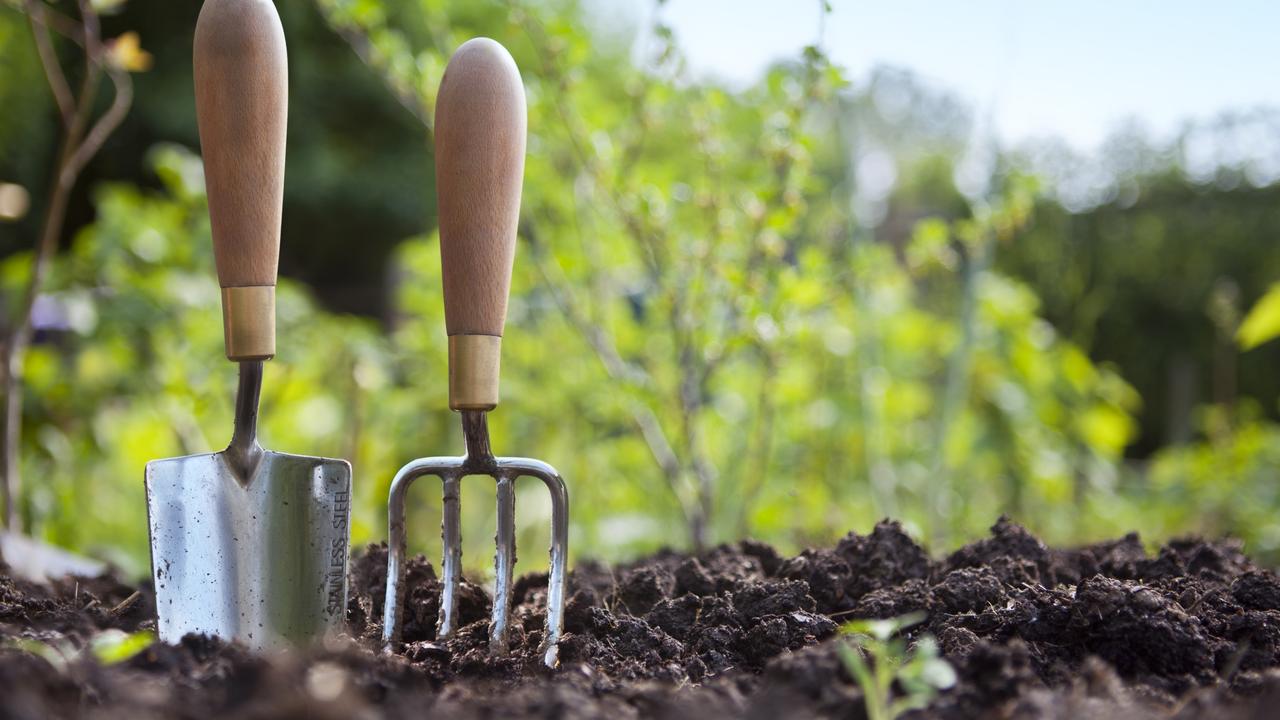 Woman pleads guilty to attacking Kingston resident with garden fork