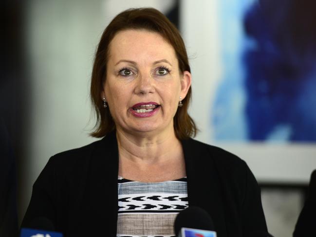 Minister for Health, Sussan Ley in Townsville to discuss the incidence of suicide among current and former members of the ADF and hear ideas from the local community that will help shape a new landmark suicide prevention trial in the region.