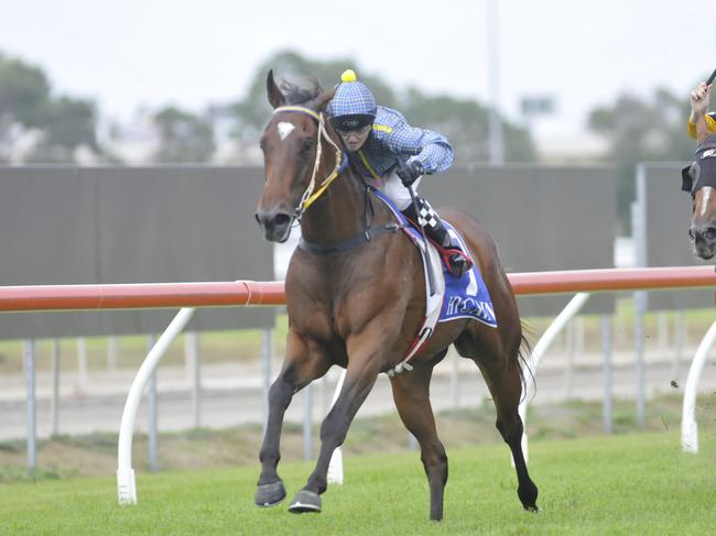 American Hero wins for Bryan Guy at the Gold Coast. Picture: Jessica Hawkins. Trackside Photography.