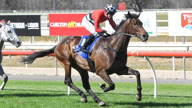 Impressive Seymour winner Revalare will attempt to bring that form to town when heads to Sandown on Saturday. Picture: Racing Photos via Getty Images