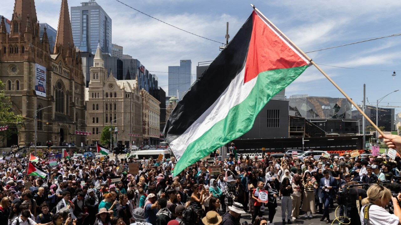 ‘They are anti-Israel’: Worldwide pro-Palestine rallies ‘dangerous’ and ‘wrong’