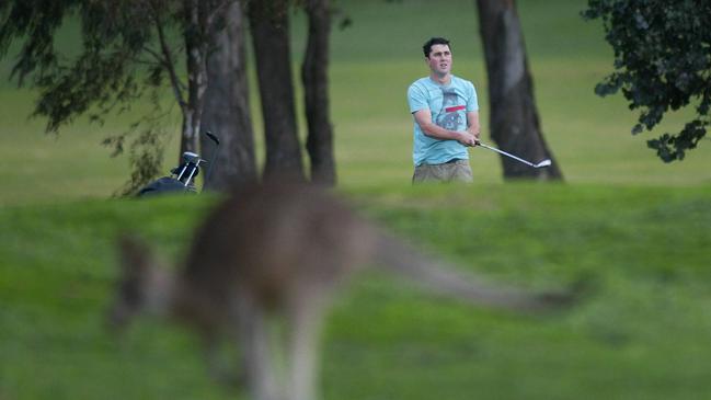 Yarrambat Park Golf Course had recently undergone a $1.2 million upgrade. Picture: Shannon Morris