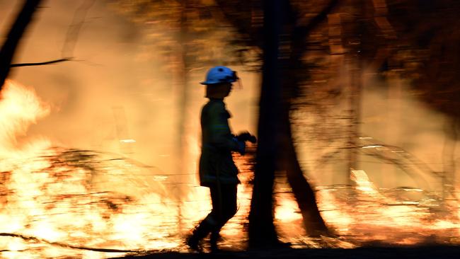 A firefighters backburning in the Mangrove area north of Sydney in preparation of horror conditions to come. Picture: Saeed Khan/AFP