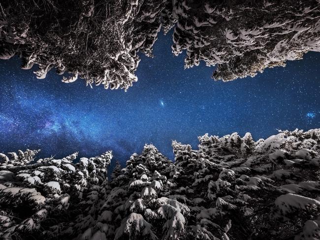 Galaxies Above The Winter Forest by Slovakian photographer Ales Krivec shows the forests of Pokljuka in Slovenia. ‘Trees are illuminated by the nearby car on the road. For this image, I simply put the camera directly in the middle of the road,’ the photographer writes.