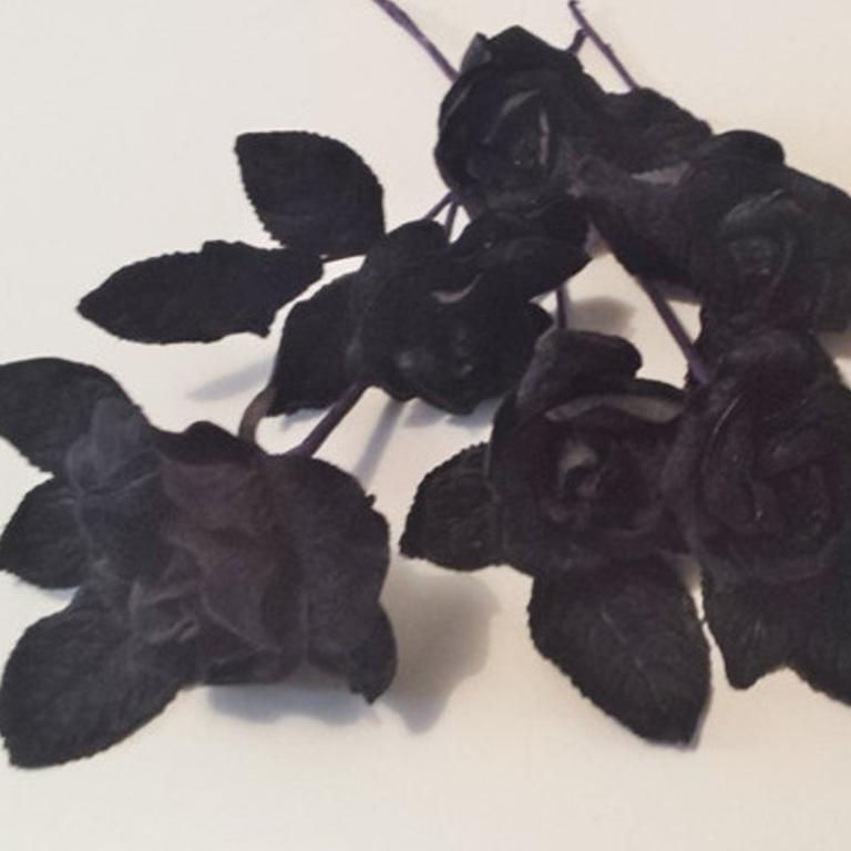 Etsy (TheLaceAttic), Black Roses (set of 7).