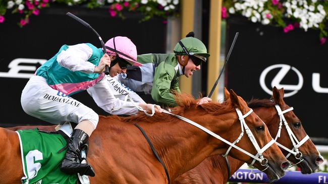 Kings Will Dream edges out Finche in the Turnbull. Pic: AAP