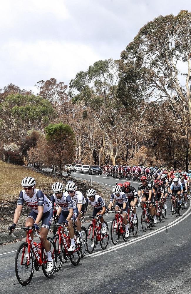 The peloton makes its way out of Lobethal in the 2020 Tour Down Under. Picture: Sarah Reed