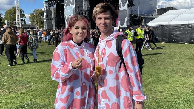 There were even pink and white cows at Groovin the Moo.