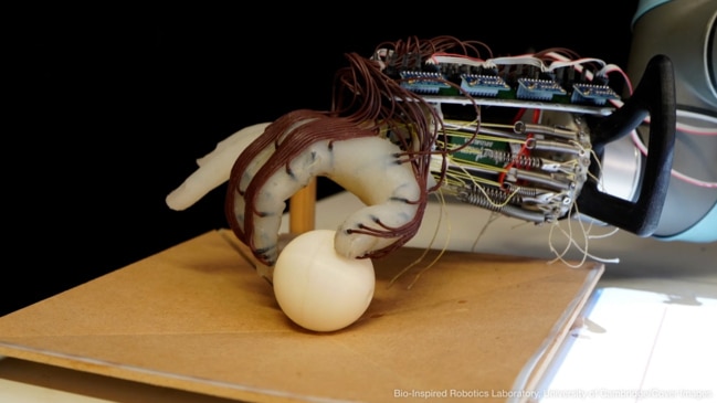 Researchers Develop Soft Robotic Hand That Can Grasp ‘Like A Human’