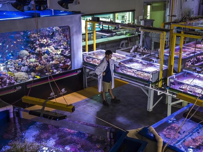 A researcher at the National Sea Simulator. Picture: Christian Miller