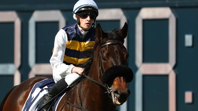 SYDNEY, AUSTRALIA - SEPTEMBER 02: Tom Sherry riding Athabascan wins Race 5 Sydney City Lexus CTC Cup  during "City Tattersalls Club Cup Day" - Sydney Racing at Royal Randwick Racecourse on September 02, 2023 in Sydney, Australia. (Photo by Jeremy Ng/Getty Images)