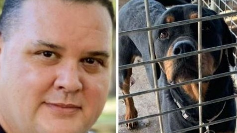 Animal Welfare League of Queensland spokesman Craig Montgomery said people needing to surrender their pet due to accommodation reasons had increased from 19 per cent to 27 per cent in the past two years