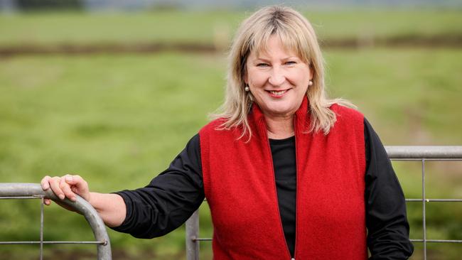 Agriculture Minister Gayle Tierney will head to New Zealand for a five-day business trip. Picture: Nicole Cleary