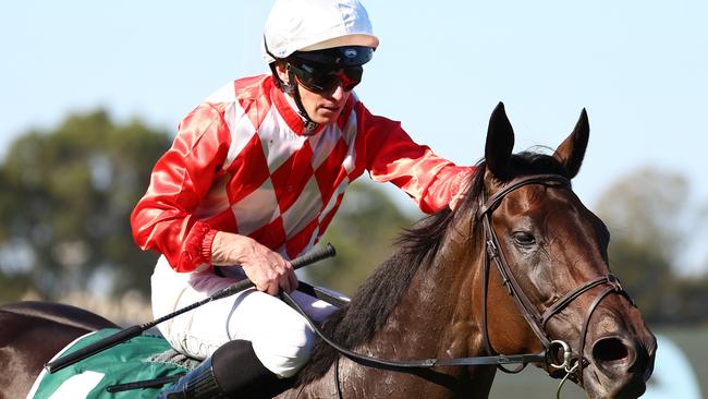 James McDonald brings Orchestral back to scale after winning the Group 1 Vinery Stud Stakes at Rosehill on March 30. Picture: Jeremy Ng / Getty Images