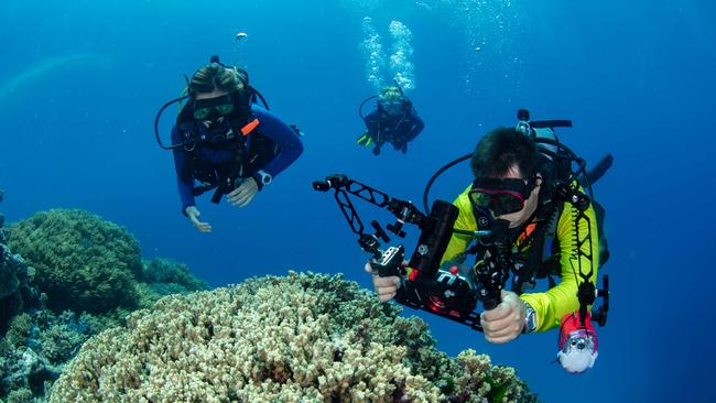 Coral spawning on the Great Barrier Reef, November 2021. Picture: Gabriel Guzman