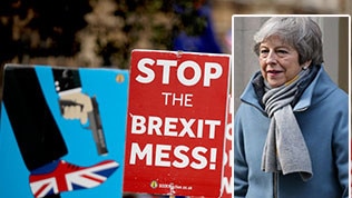 Protest signs and Theresa May.