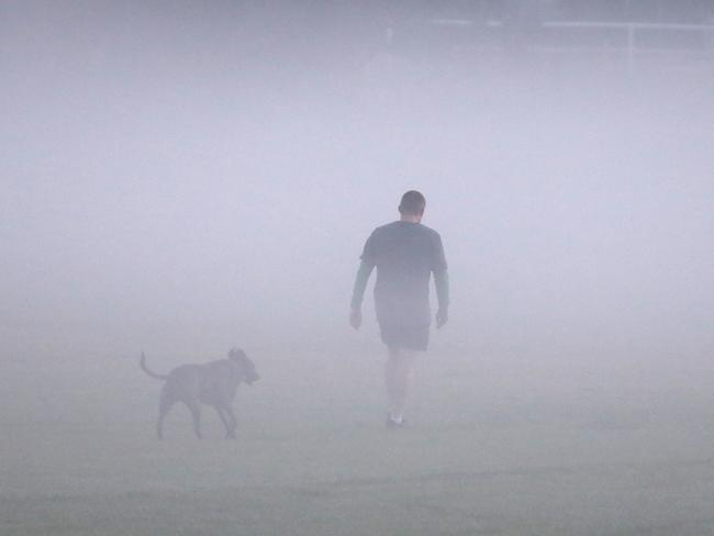 A dog walker gets lost in a low level fog as it hangs over Queens Park in Sydney on Wednesday before dawn today. Picture: John Grainger